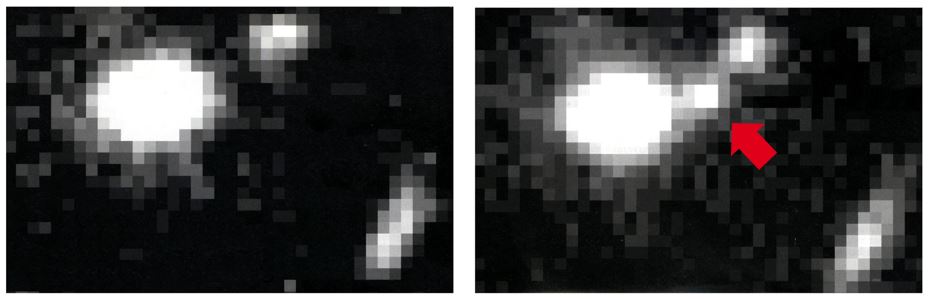 Drawing of Supernova 1995ar.